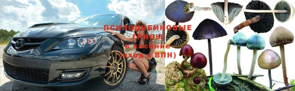 прущие крисы Сафоново