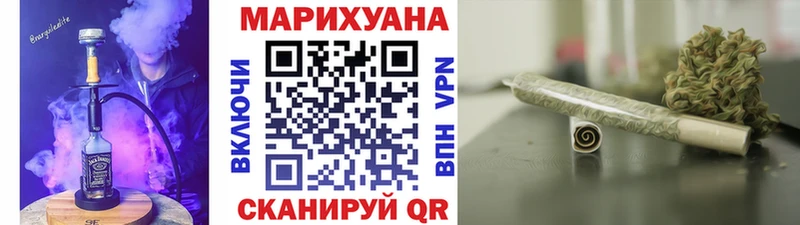 Купить закладки  Северобайкальск  Канабис сатива 